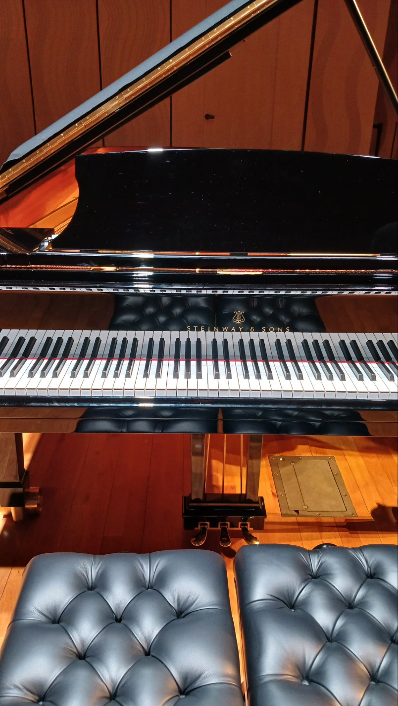 Professional Accompaniment